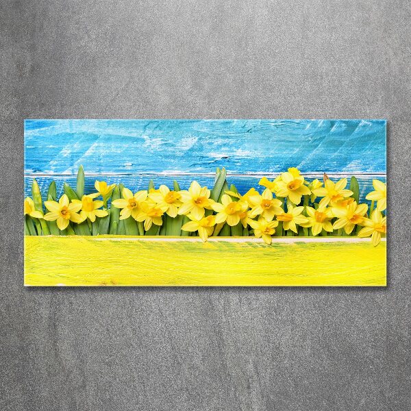 Acrylic wall art Daffodil