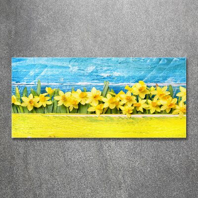 Acrylic wall art Daffodil