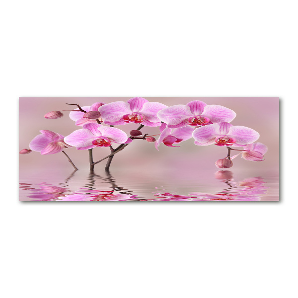 Wall art acrylic Pink orchid