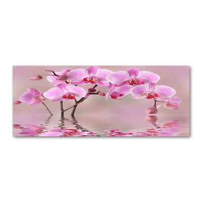 Wall art acrylic Pink orchid