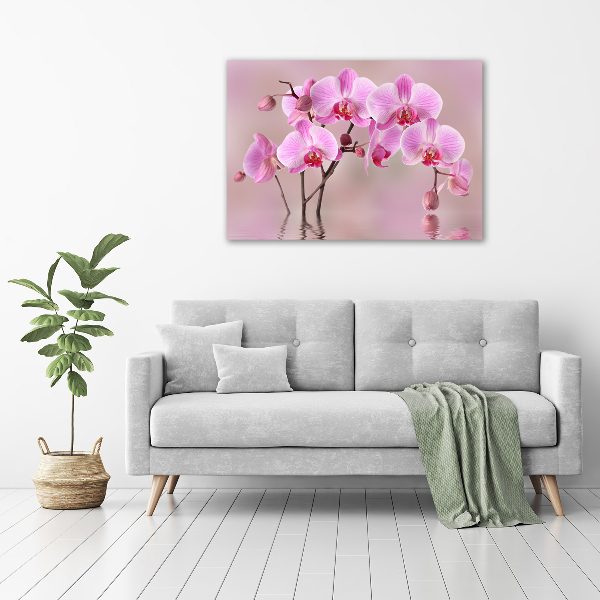 Wall art acrylic Pink orchid