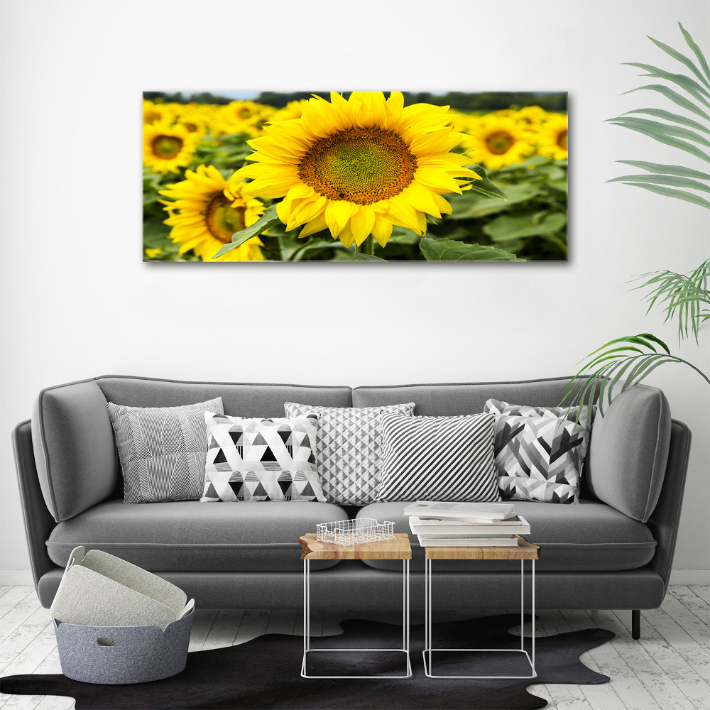 Wall art acrylic Sunflower field