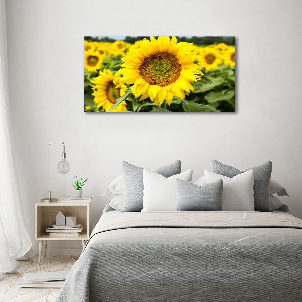 Wall art acrylic Sunflower field