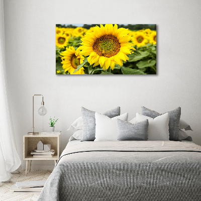 Wall art acrylic Sunflower field