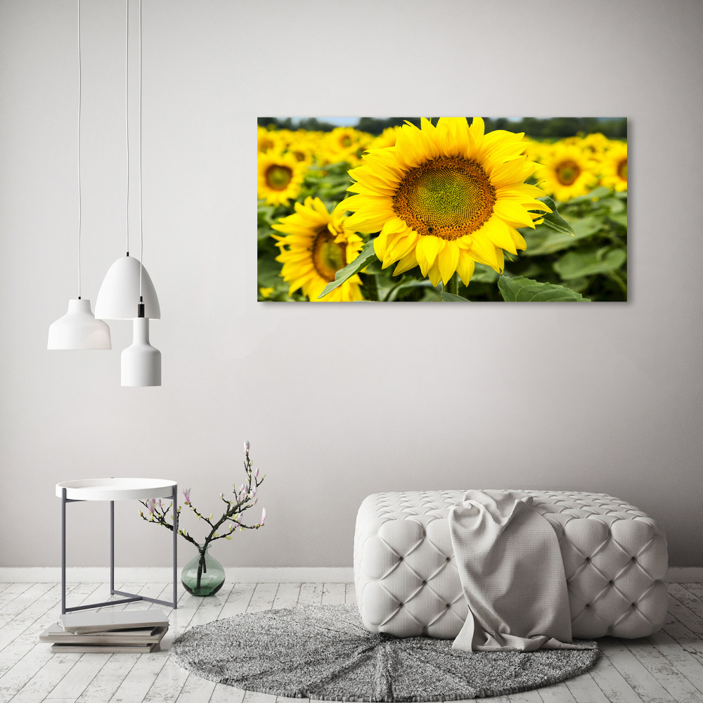 Wall art acrylic Sunflower field