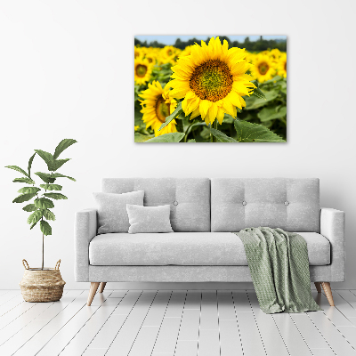 Wall art acrylic Sunflower field