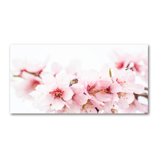 Wall art acrylic Cherry blossoms