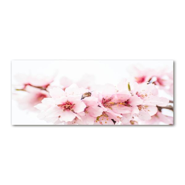 Wall art acrylic Cherry blossoms