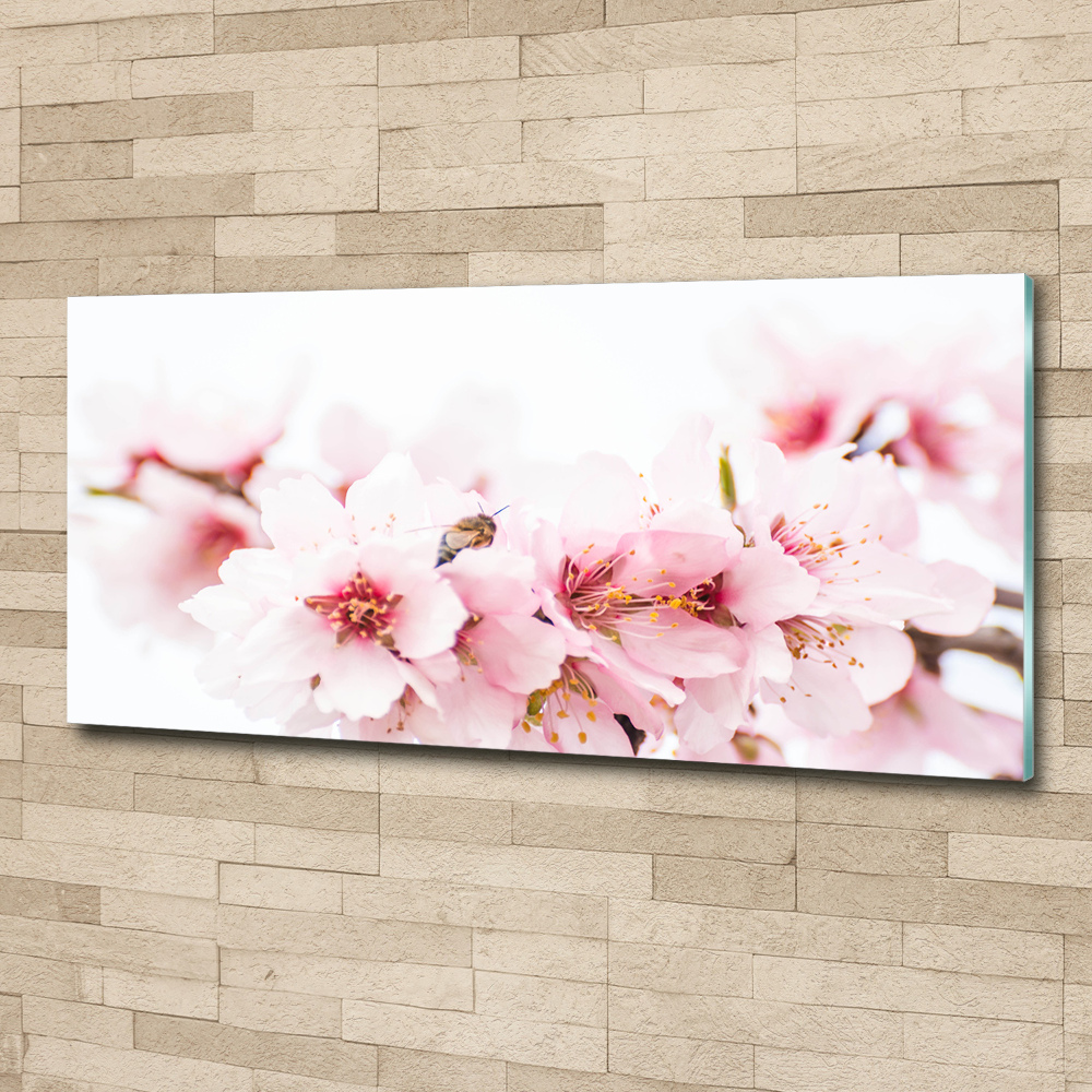 Wall art acrylic Cherry blossoms