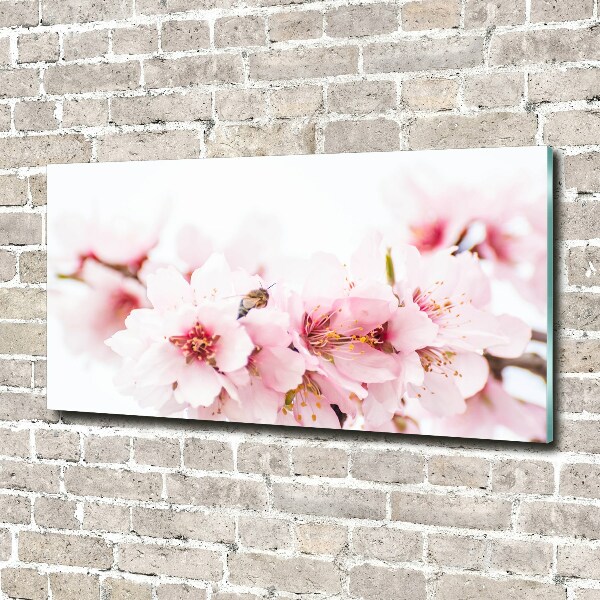 Wall art acrylic Cherry blossoms