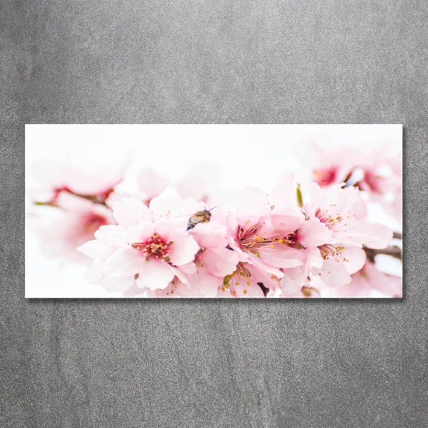 Wall art acrylic Cherry blossoms