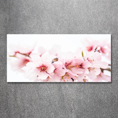 Wall art acrylic Cherry blossoms