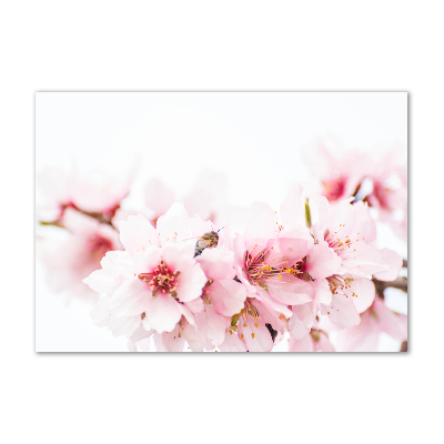 Wall art acrylic Cherry blossoms