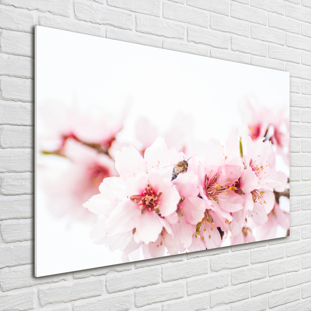 Wall art acrylic Cherry blossoms