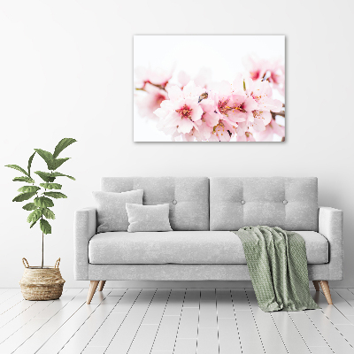 Wall art acrylic Cherry blossoms