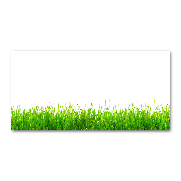 Acrylic wall art Grass