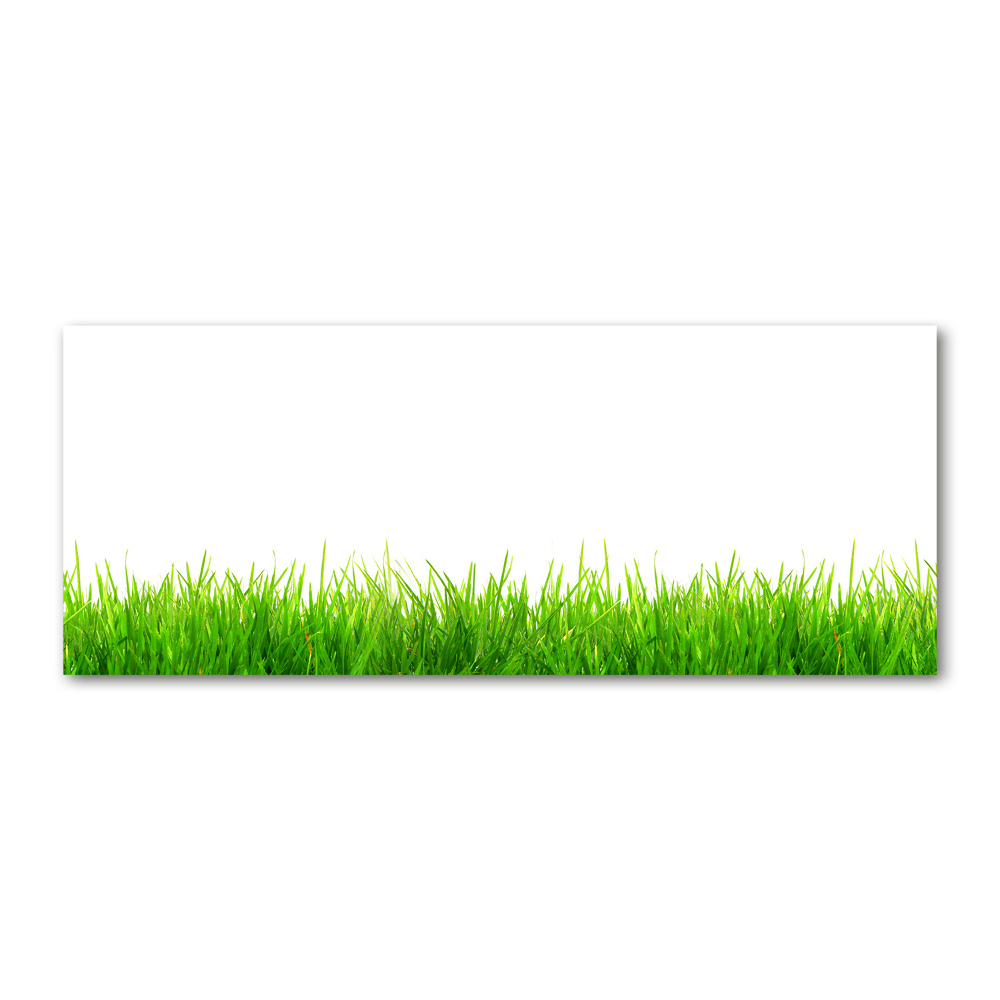 Acrylic wall art Grass