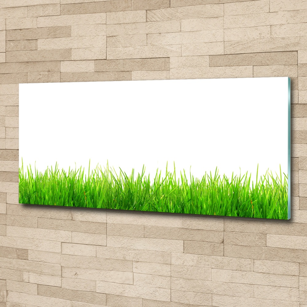 Acrylic wall art Grass