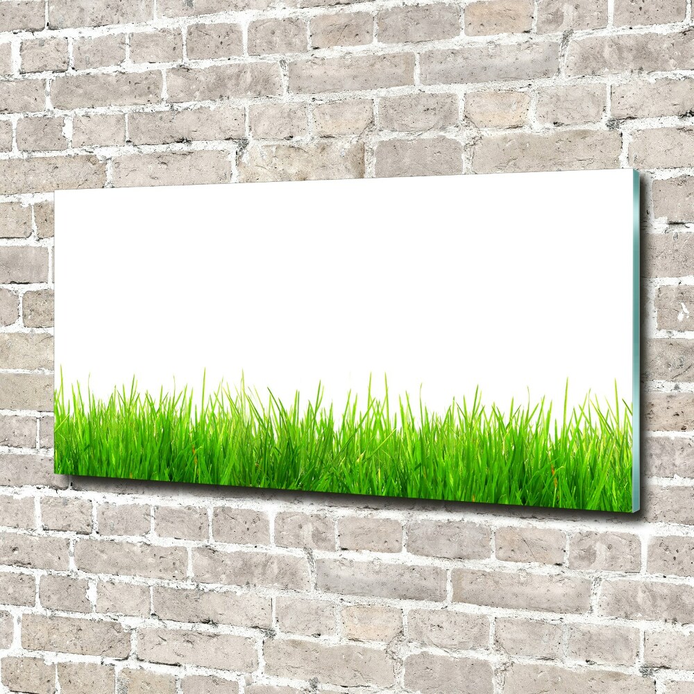 Acrylic wall art Grass