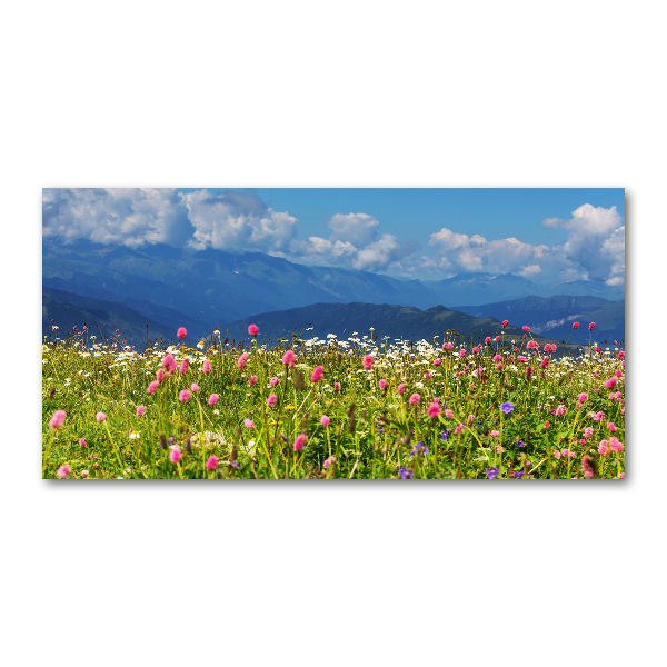 Wall art acrylic Meadow in the mountains