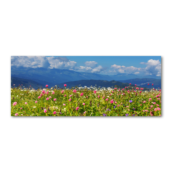 Wall art acrylic Meadow in the mountains