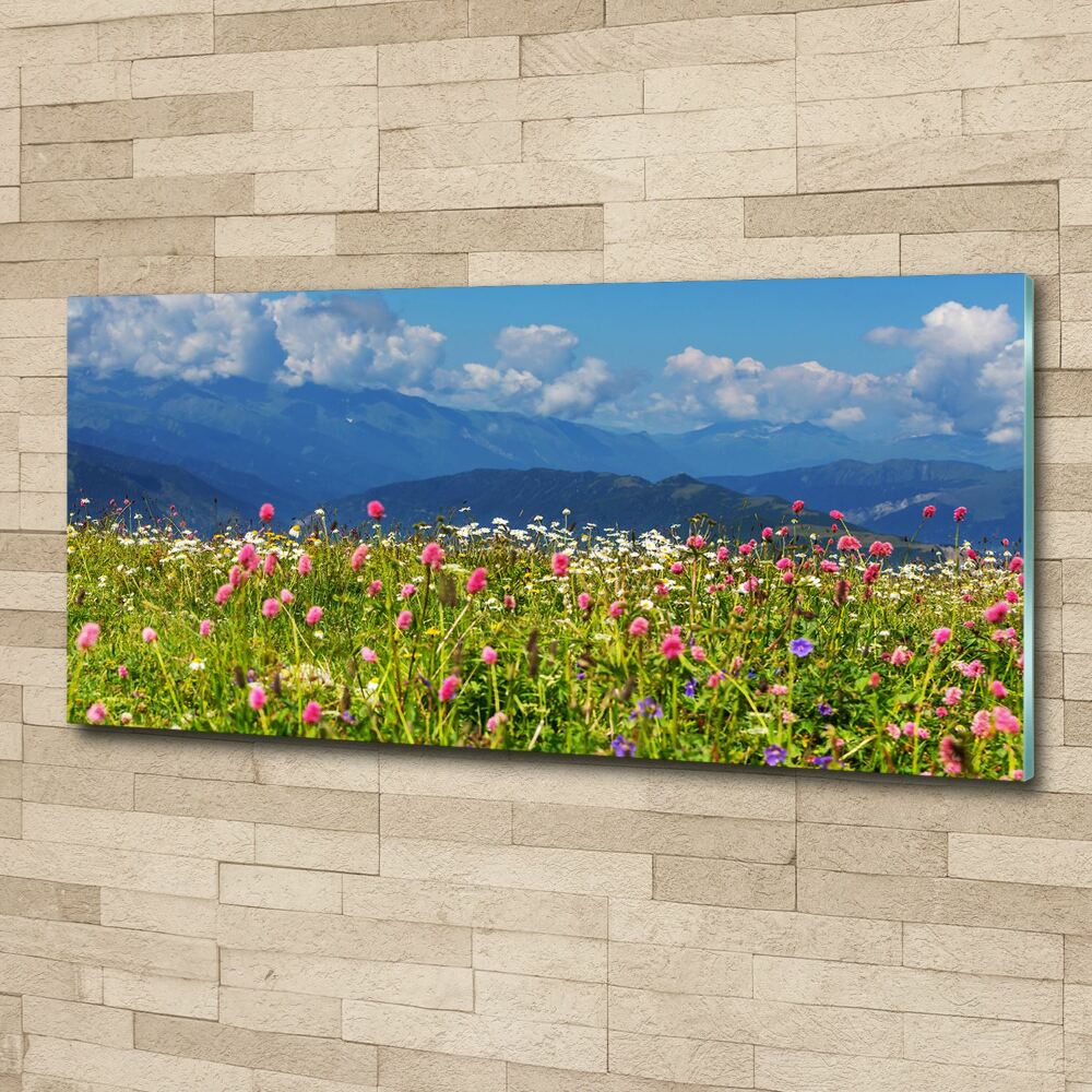 Wall art acrylic Meadow in the mountains