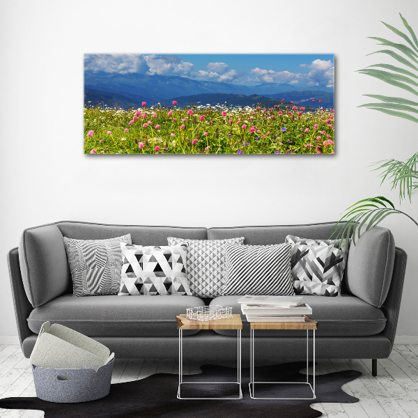 Wall art acrylic Meadow in the mountains