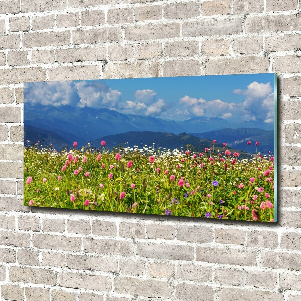 Wall art acrylic Meadow in the mountains