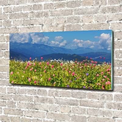 Wall art acrylic Meadow in the mountains