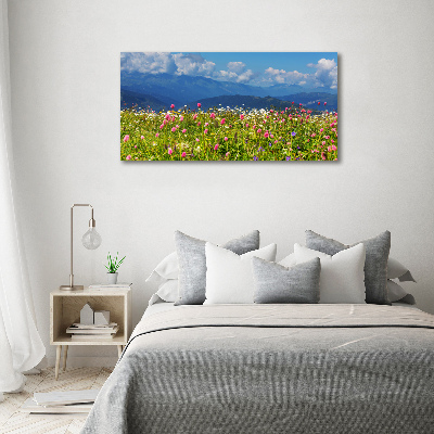 Wall art acrylic Meadow in the mountains