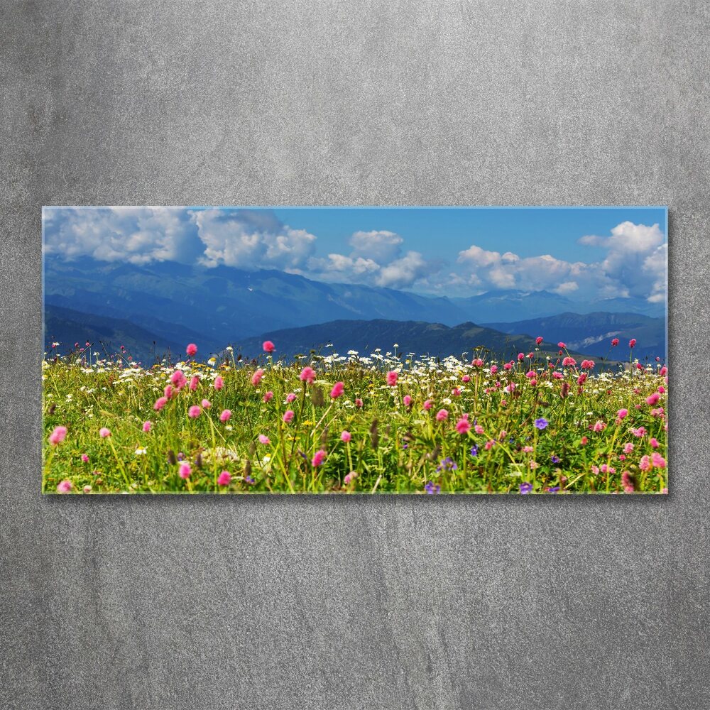 Wall art acrylic Meadow in the mountains