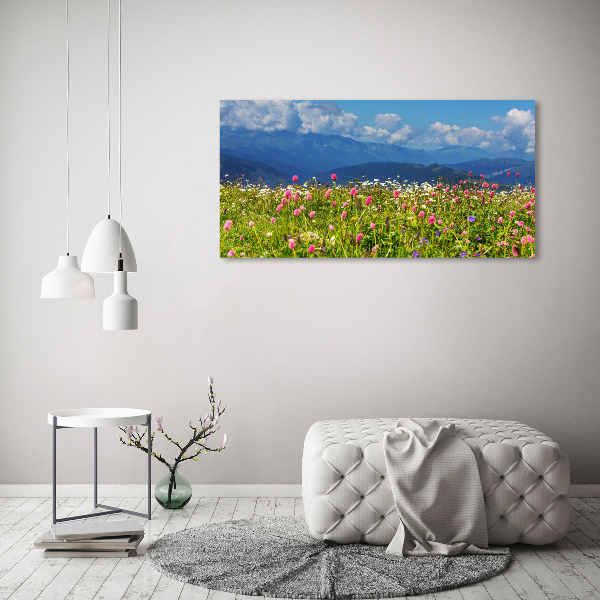 Wall art acrylic Meadow in the mountains