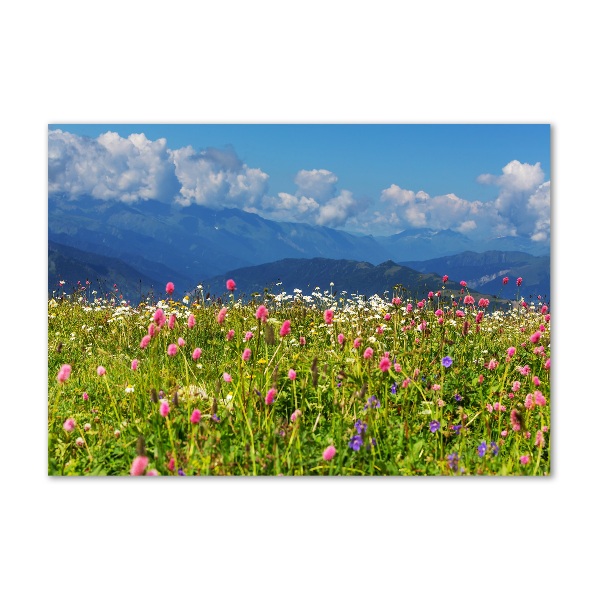 Wall art acrylic Meadow in the mountains