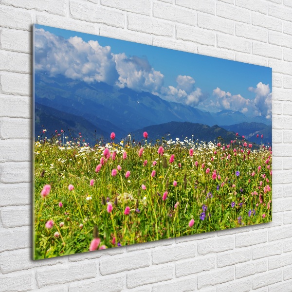 Wall art acrylic Meadow in the mountains