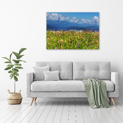 Wall art acrylic Meadow in the mountains