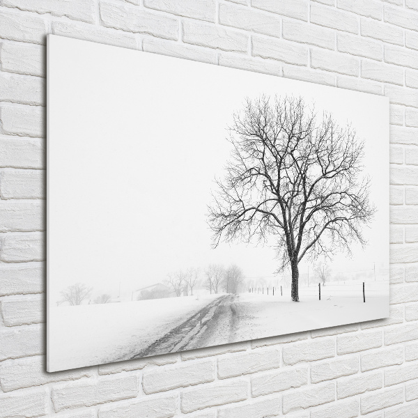 Acrylic wall art Winter tree