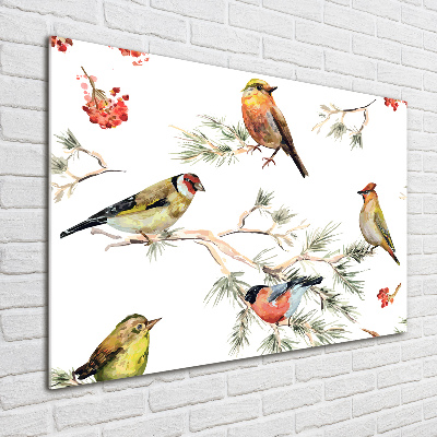 Glass acrylic wall art Forest birds of plants