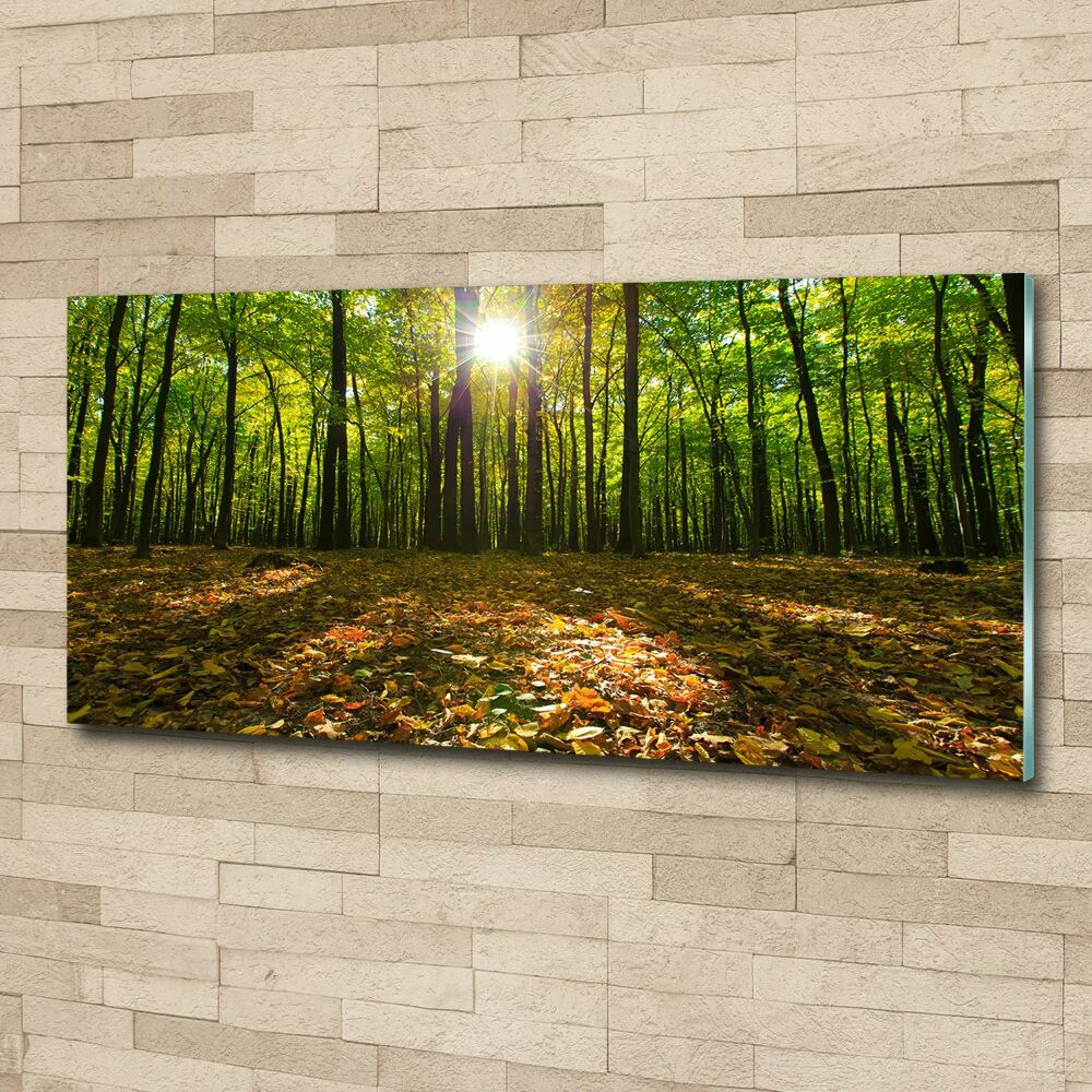 Acrylic print Forest