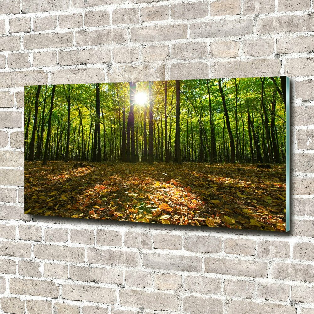 Acrylic print Forest