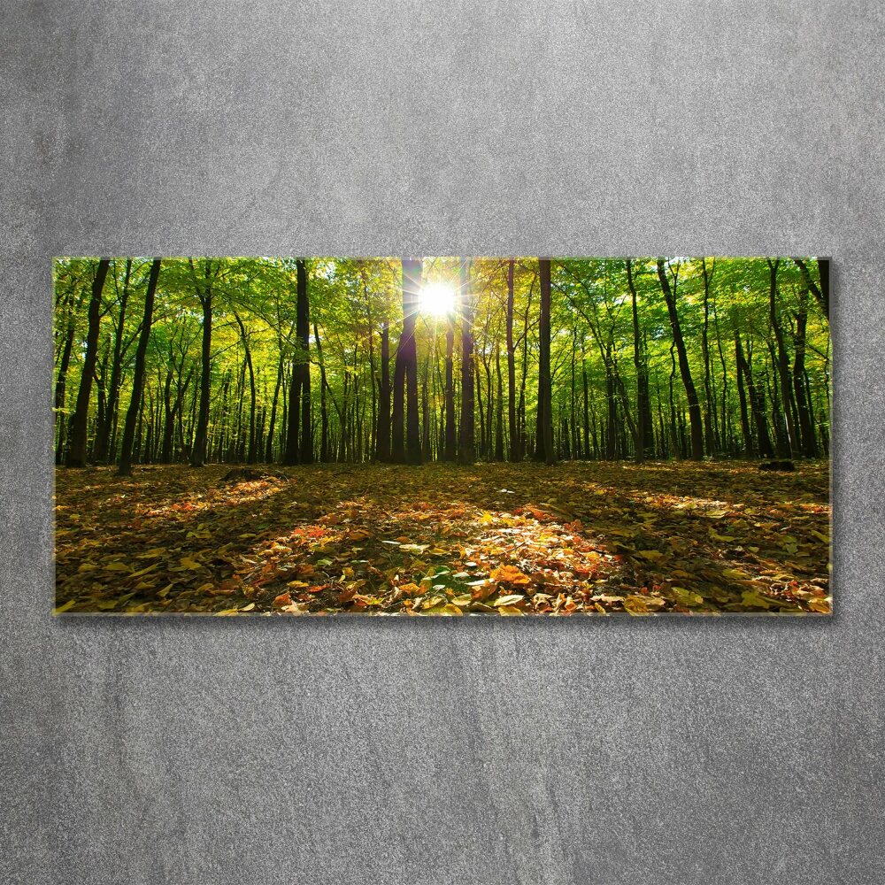 Acrylic print Forest