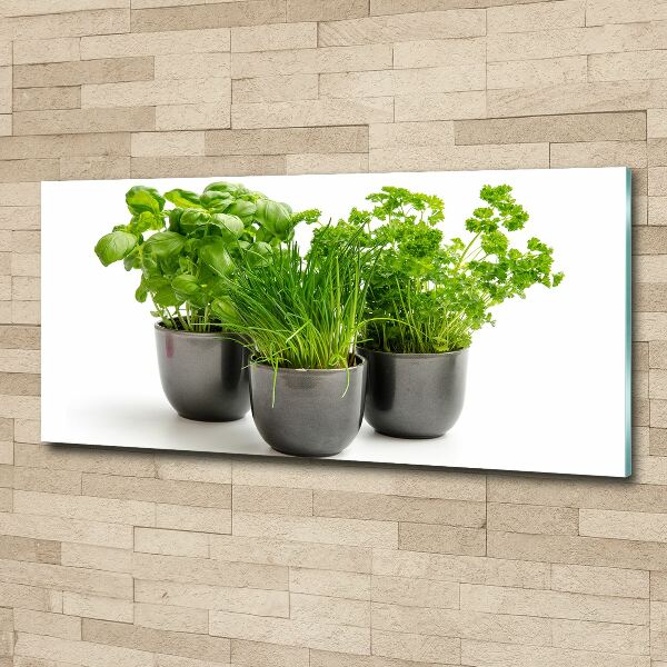 Glass acrylic wall art Herbs in pots