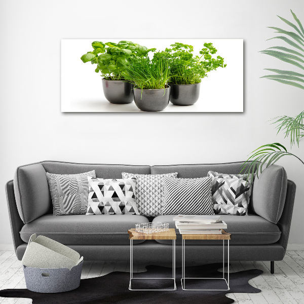 Glass acrylic wall art Herbs in pots