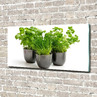 Glass acrylic wall art Herbs in pots