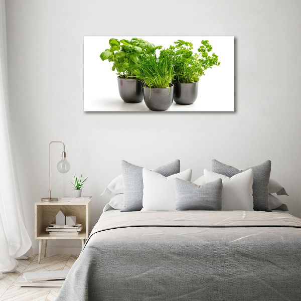 Glass acrylic wall art Herbs in pots