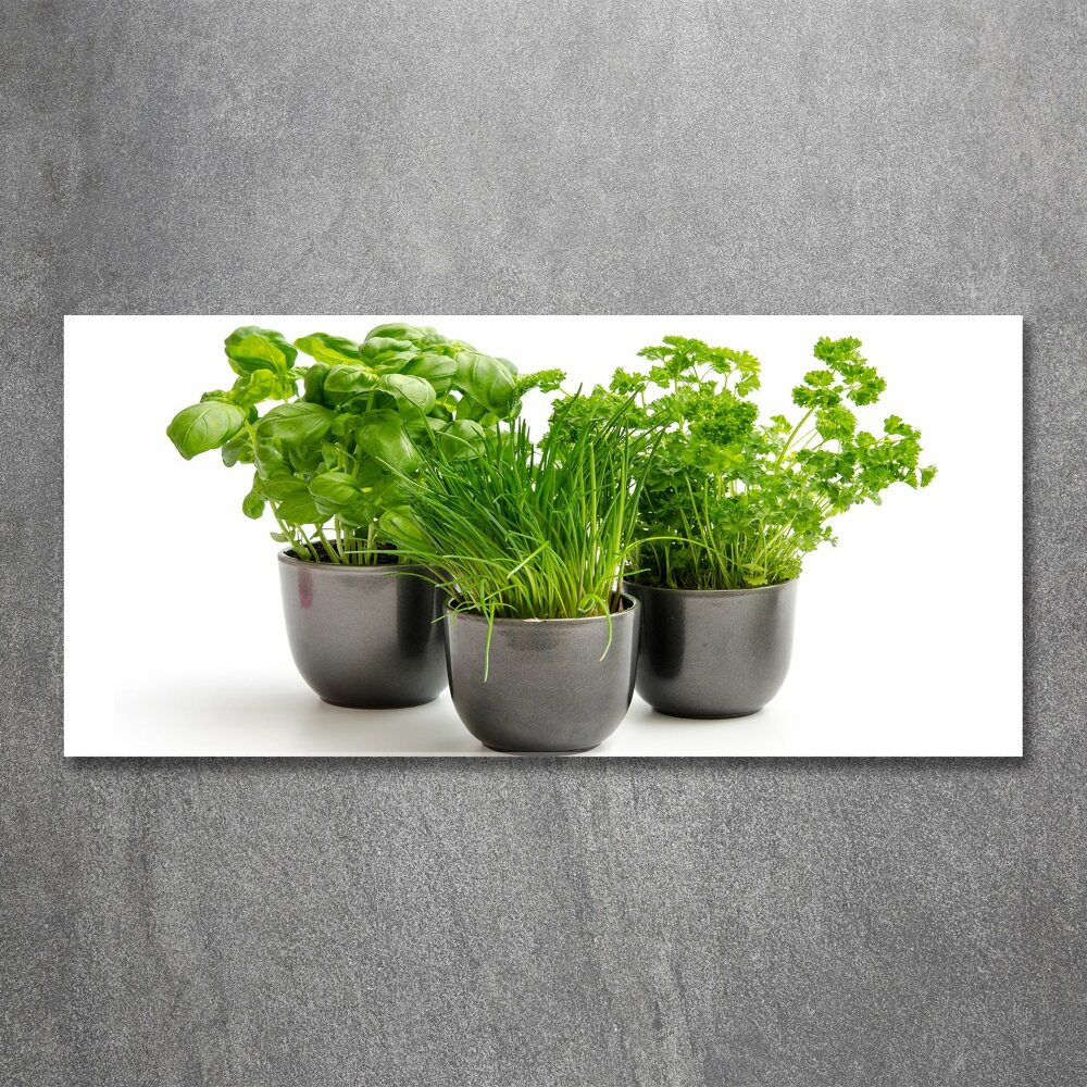 Glass acrylic wall art Herbs in pots