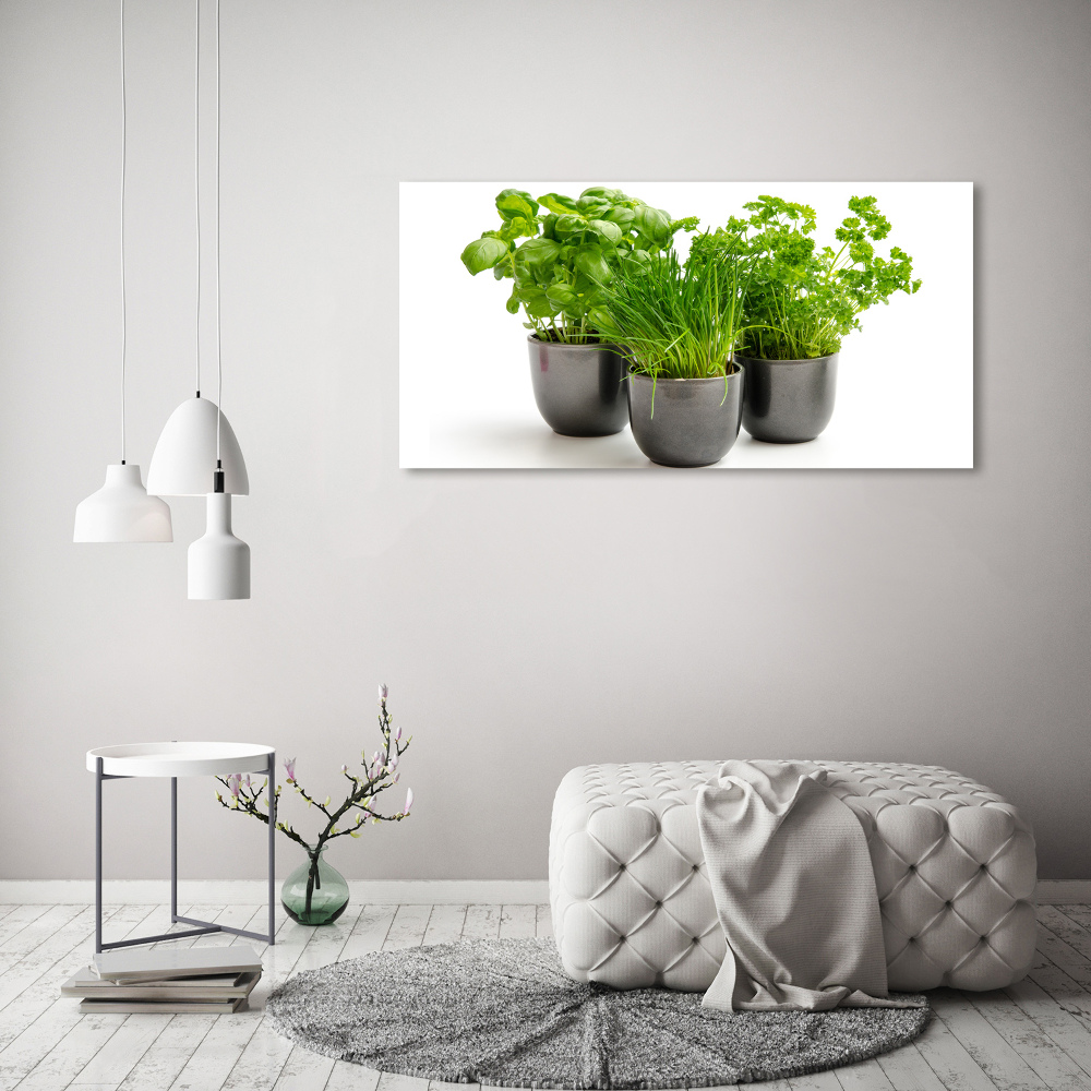 Glass acrylic wall art Herbs in pots