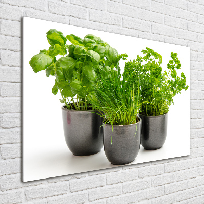 Glass acrylic wall art Herbs in pots