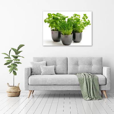 Glass acrylic wall art Herbs in pots