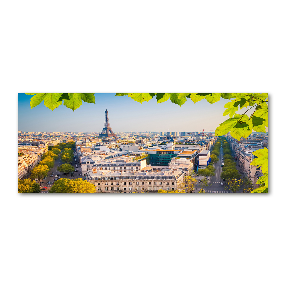 Wall art acrylic Paris