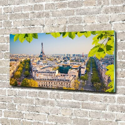 Wall art acrylic Paris